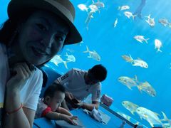 -瑞德姆美人鱼海底演艺主题餐厅(亚龙湾店)
