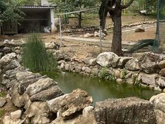 -丽泽山庄·生态怀柔菜·虹鳟鱼(红螺寺店)