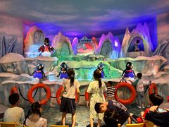 -帝企鹅自助餐厅•儿童岛•真企鹅(长隆企鹅酒店)