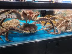 水产区-盒马鲜生(皇庭广场店)