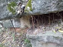 -寻龙山风景旅游区