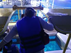 -迪拜水族馆及水下动物园
