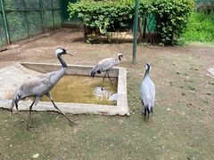 -青藏高原野生动物园