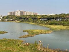 -立新湖公园