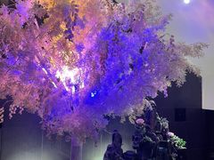 -安安火锅(上美广场店)