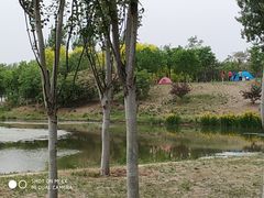 -东郊湿地公园