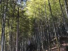 -径山寺
