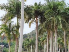 -南宁花花大世界景区