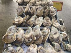 -蚝专家(北滘店)