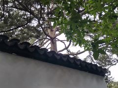 -秋霞圃
