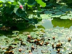 -国家植物园南园