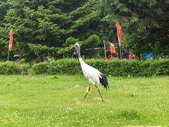 -哈尔滨北方森林动物园