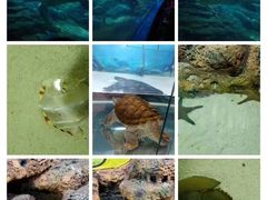 -多彩贵州城极地海洋世界