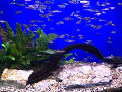 -上海海洋水族馆-停车场