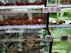 -胖东来生活广场(健康路店)