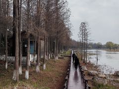 -苏州太湖湖滨国家湿地公园
