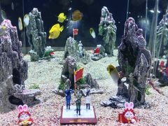 -烟台海昌鲸鲨海洋公园