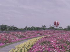 -歌斐颂巧克力小镇