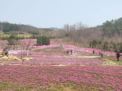-棒棰岛宾馆景区