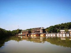 -大湾区中央湿地公园