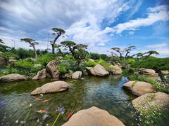 -罗红摄影艺术馆