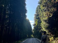 -山王坪喀斯特国家生态公园