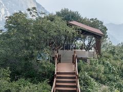 -大岭沟猕猴桃谷风景区