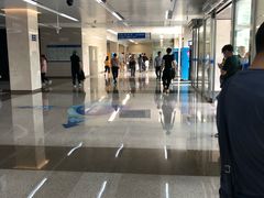-首都医科大学附属北京天坛医院