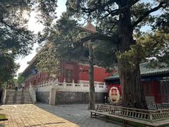-北京国子监胡同