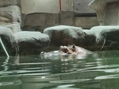 -武汉动物园