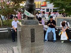 -涩谷区