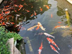 -顺德了能馆(虎门店)