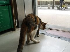 -旧款宁波饭店(华敏世纪广场店)