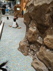 -北京科学中心儿童乐园