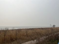 -合肥滨湖国家森林公园