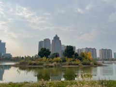 -金沙湖公园
