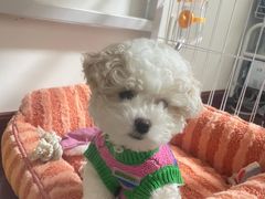-美联众合动物医院·24h转诊中心