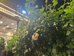-张记焖窑·十五年专注焖烤(雍和宫店)
