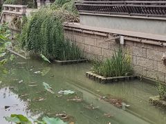 -龙潭水乡