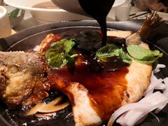 -九毛九西北菜(百信广场店)