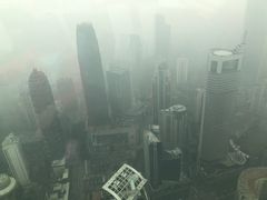 -WFC会仙楼观景台