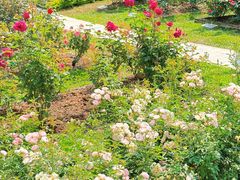 -人民公园(罗湖区)