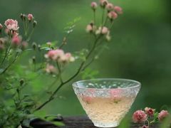 -星巴克(南京商厦店)