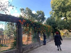 -昆明动物园
