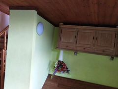 -金山农民画村-枫泾波兰倒置屋