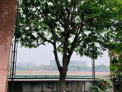 -四川大学(江安校区)