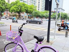 -西北湖绿化广场