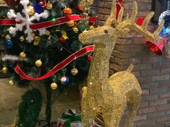 -LYFATTI 莱芙缇(赣水路店)