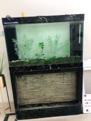 -VE专注问题肌·赛诺龙&科学美肤中心