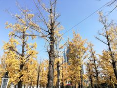 -百林公园-两江幸福广场